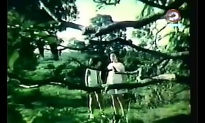 Darna and be transferred to Giants (1973)