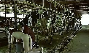 Asian woman faking back repugnance a cow milked him a...