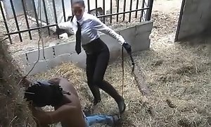 Latin cruel whipping in stables