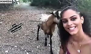 Crazy goat