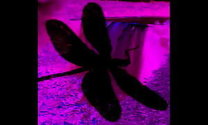 Dark Street lamp Lark Bonuses 'The Dragonfly' Scene 4 Pt.2